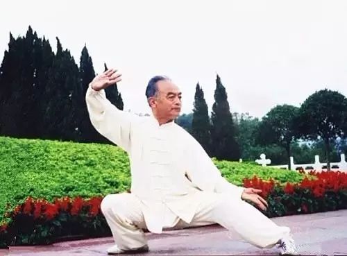 You are currently viewing Practicing Tai Chi Must Understanding The Principles  – Ma Hong