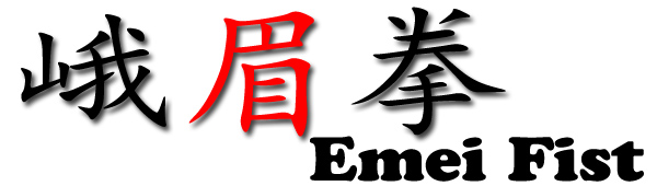 Read more about the article The combat requirements and characteristics of Emei fist / Ren Jiànshè.